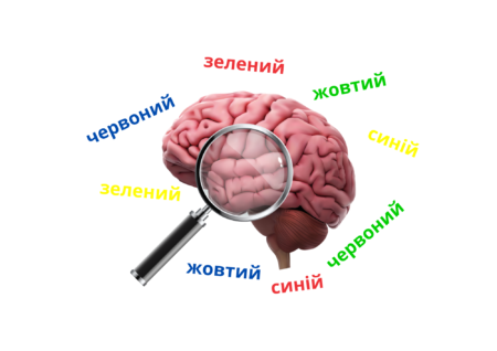 Наскільки твій мозок вміє фільтрувати зайве? Тест Струпа на увагу та когнітивну гнучкість