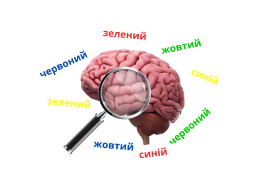Наскільки твій мозок вміє фільтрувати зайве? Тест Струпа на увагу та когнітивну гнучкість